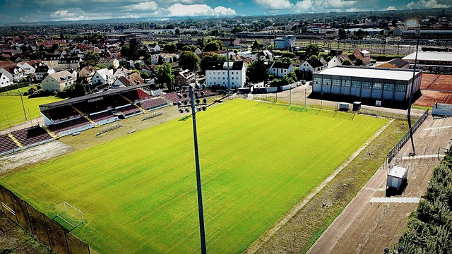 也为全球的 也为全球的