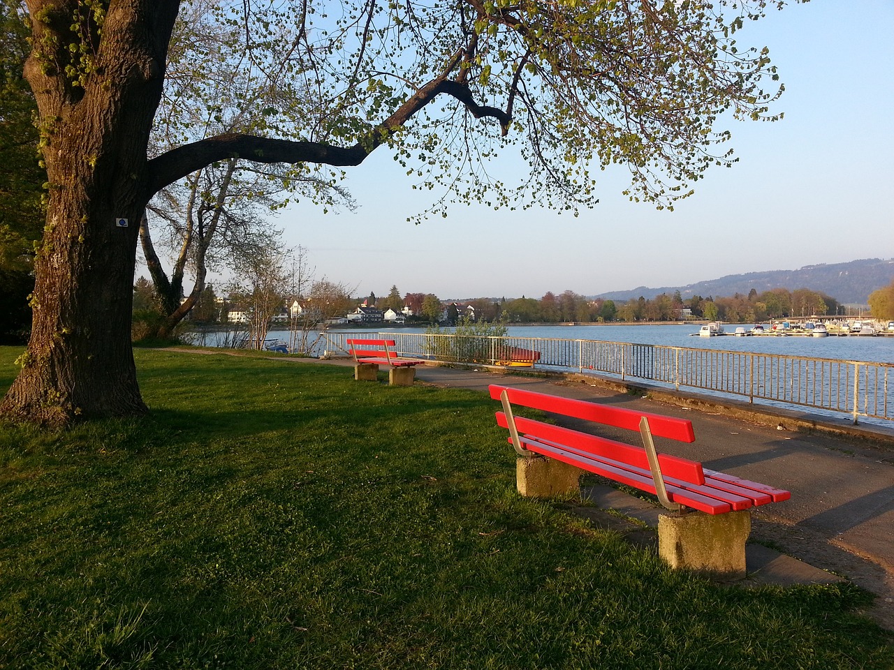 应被忽视 应被忽视