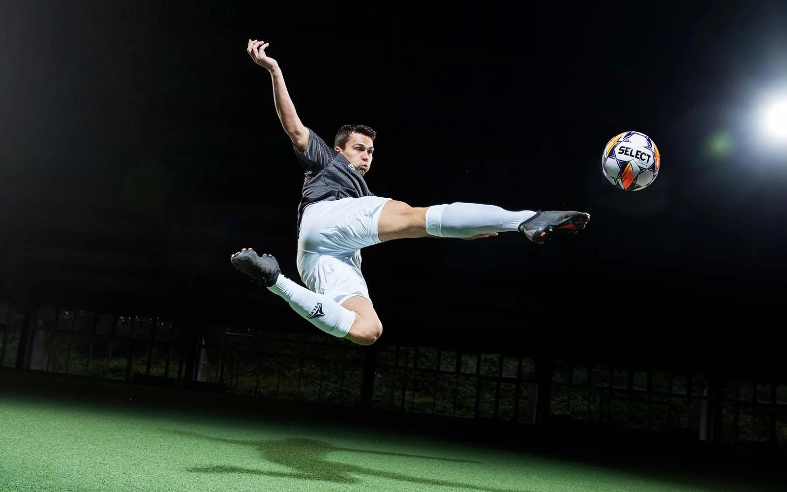 育的爱好者 育的爱好者