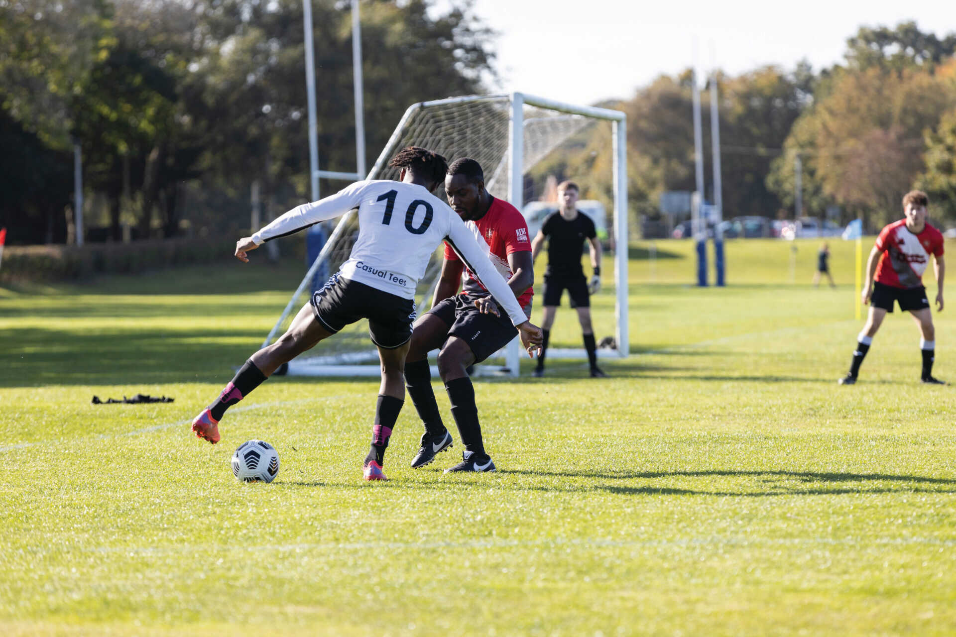 全球经济稳 全球经济稳