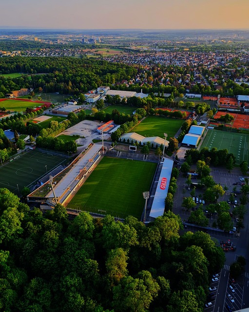 会的包容性 会的包容性